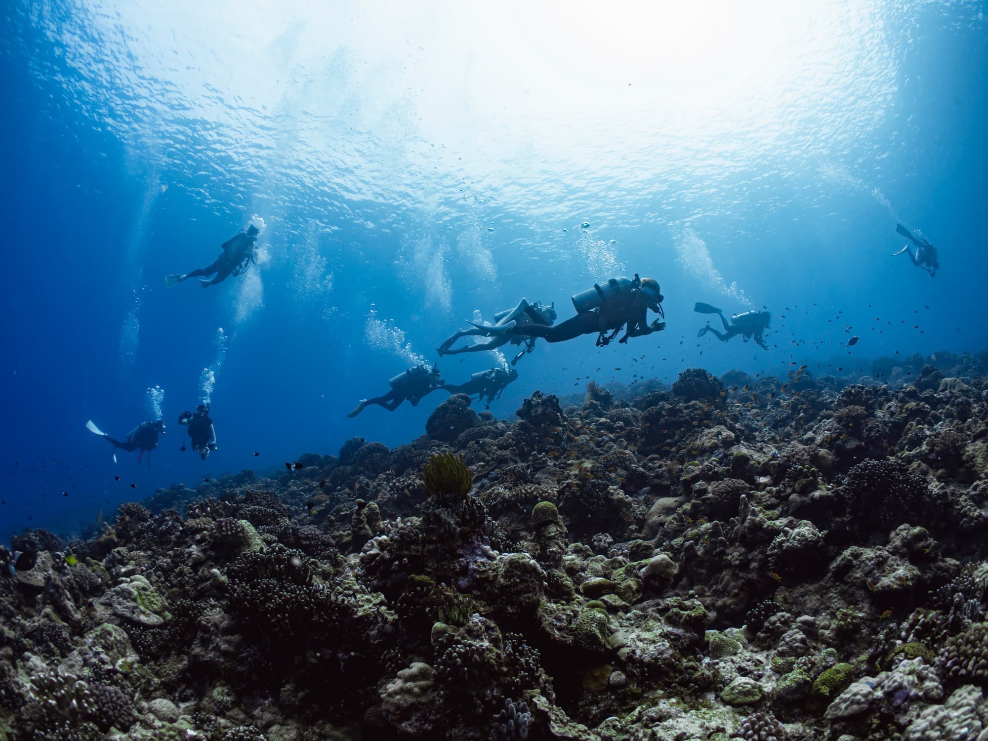 沼津市大瀬崎「オーシャンビュー・フジミ ダイバーズインフジミ」