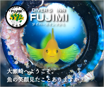 ダイバーズインフジミ