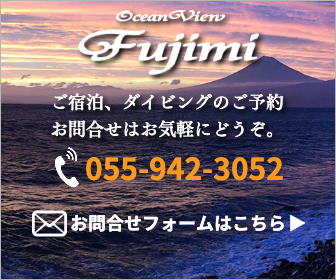 大瀬の宿泊、ダイビングサービス「オーシャンビュー・フジミ」TEL.055-942-3052