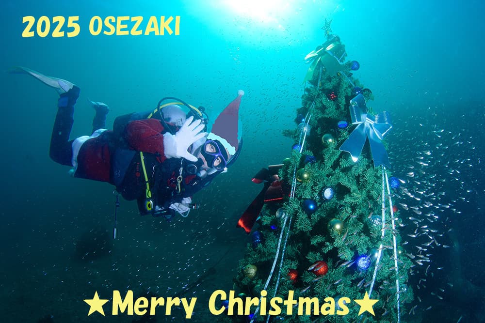 沼津市大瀬崎「オーシャンビュー・フジミ　ダイバーズインフジミ」