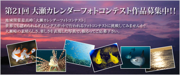 ��21�� �吣�J�����_�[�t�H�g�R���e�X�g